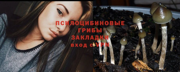 прущие крисы Балабаново